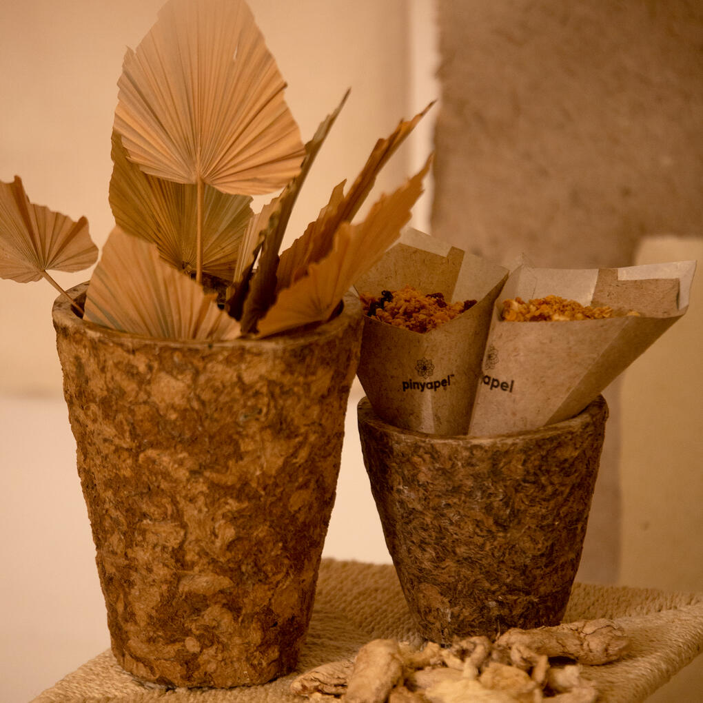 Nature's Legacy Eximport Inc.