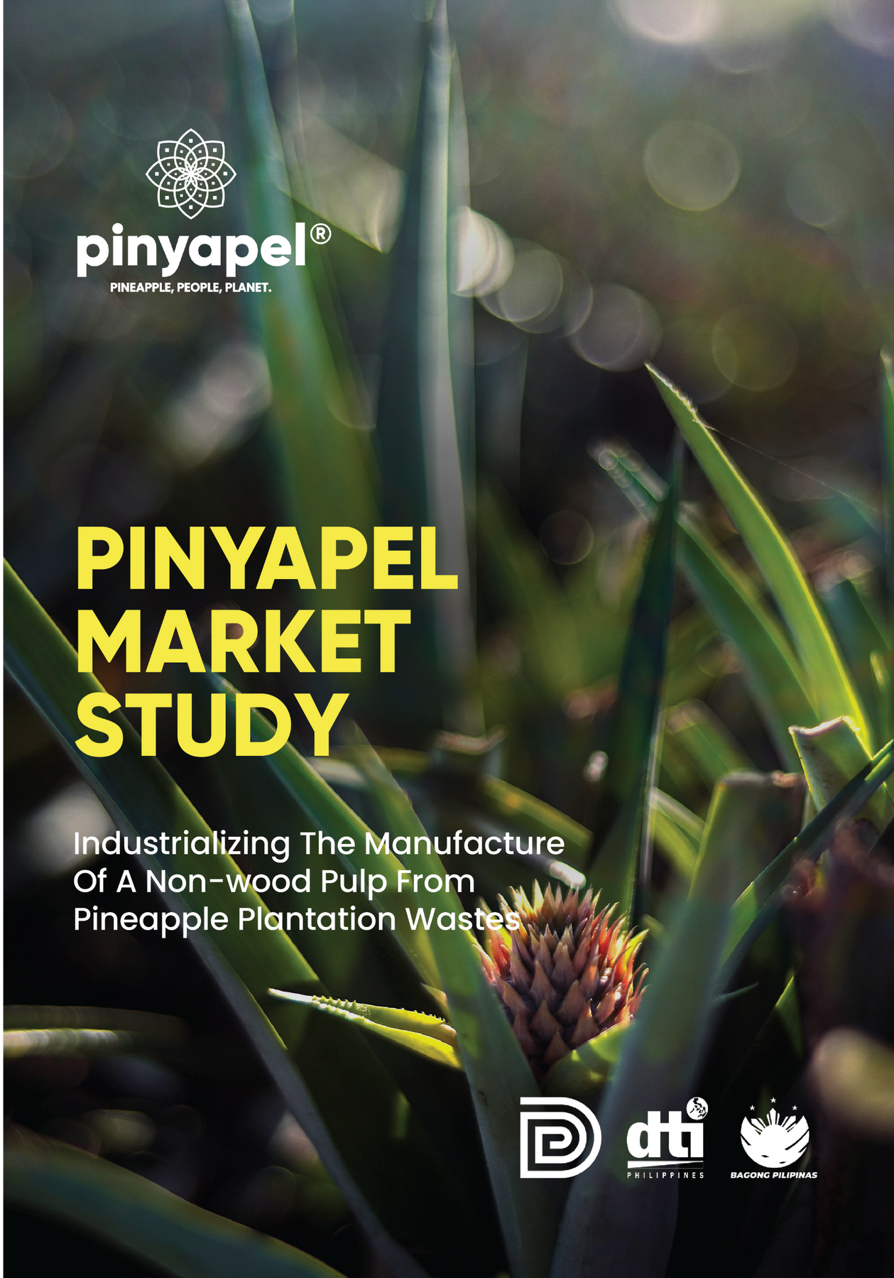 Pinyapel® Market Study
